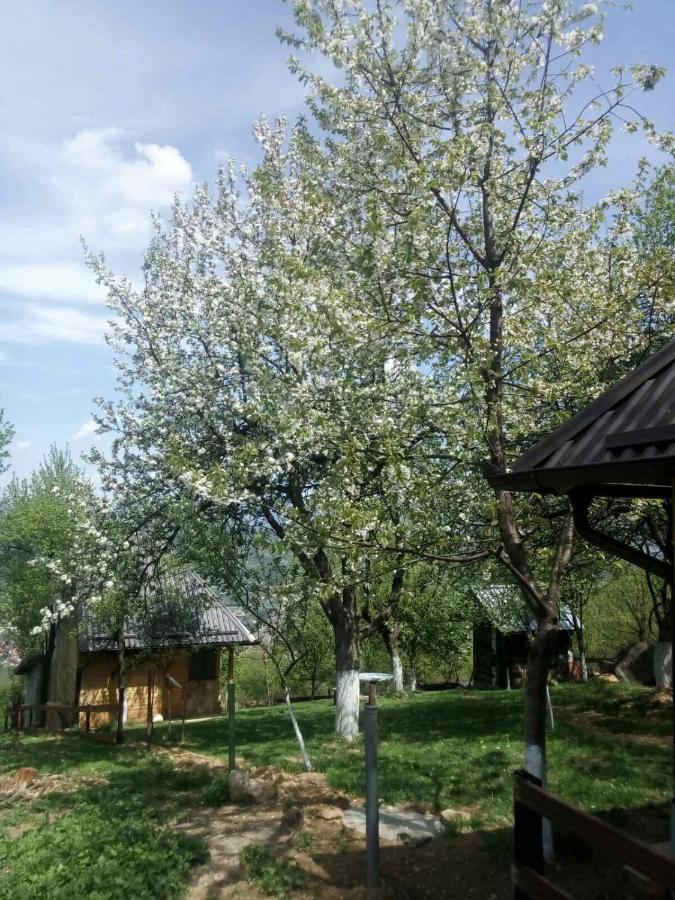 Bungalows Old Town Високо Екстериор снимка