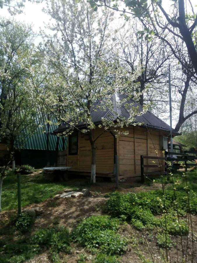 Bungalows Old Town Високо Екстериор снимка